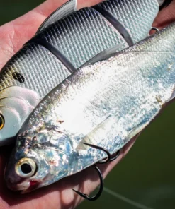 6th Sense Fishing Lee Livesay Collection Trace - 4K Shad