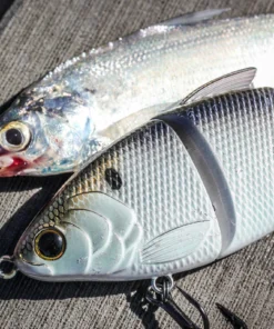 6th Sense Fishing Lee Livesay Collection Trace - 4K Shad 12 6th Sense Fishing Lee Livesay Collection Trace - 4K Shad