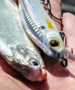 6th Sense Fishing Provoke 106DD - Shad Pro