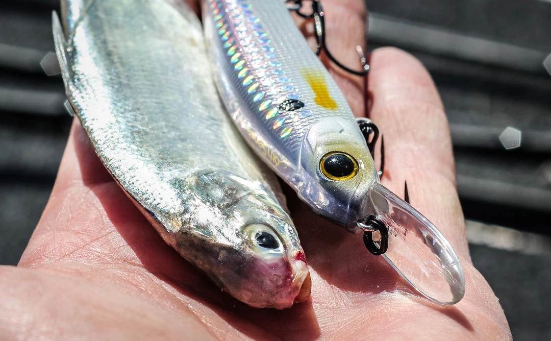 6th Sense Fishing Provoke 106DD - Shad Pro 4 6th Sense Fishing Provoke 106DD - Shad Pro