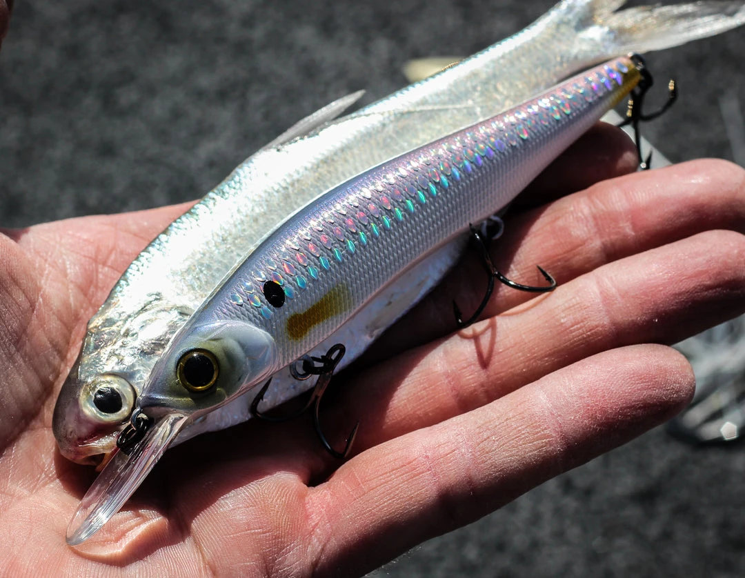 6th Sense Fishing Provoke 106DD - Shad Pro 5 6th Sense Fishing Provoke 106DD - Shad Pro