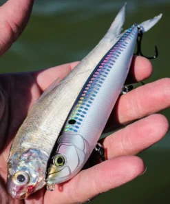 6th Sense Fishing CatWalk - Shad Scales