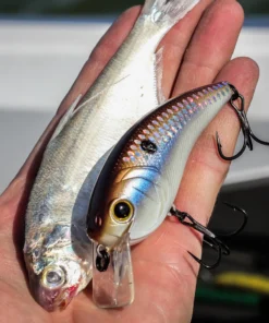 6th Sense Fishing Sale Movement L7 - 4K Gizzard