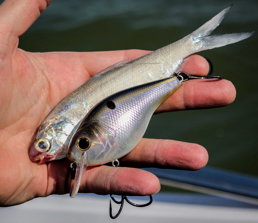6th Sense Fishing Sale MiniMag SB - Ghost Threadfin Shad 4 6th Sense Fishing Sale MiniMag SB - Ghost Threadfin Shad