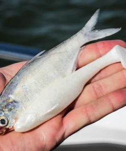 6th Sense Fishing Whale 4.5 Swimbait - Pearl White