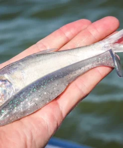 6th Sense Fishing Whale 4.5 Swimbait - Pro Blue