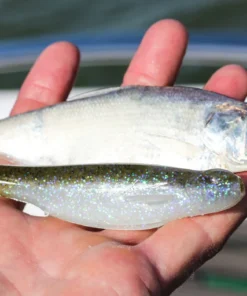 6th Sense Fishing Whale 4.5 Swimbait - Electric Shiner