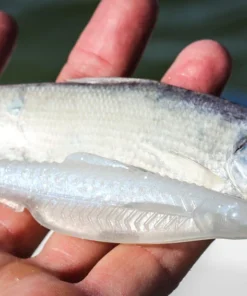 6th Sense Fishing Flush 5.2 - Spanish Pearl