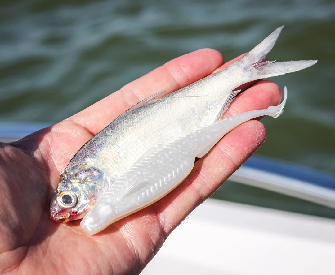 6th Sense Fishing Flush 5.2 - Shad Pearl 4 6th Sense Fishing Flush 5.2 - Shad Pearl