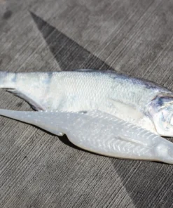 6th Sense Fishing Flush 5.2 - Shad Pearl 13 6th Sense Fishing Flush 5.2 - Shad Pearl