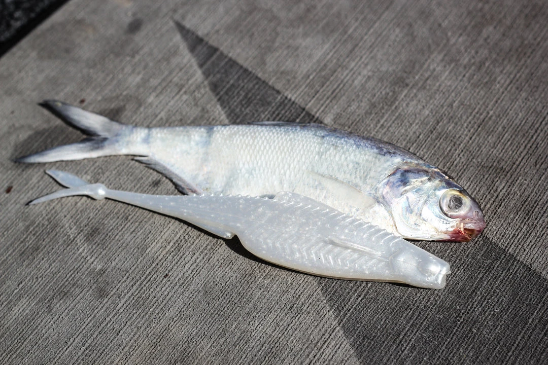 6th Sense Fishing Flush 5.2 - Shad Pearl 8 6th Sense Fishing Flush 5.2 - Shad Pearl