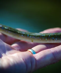 6th Sense Fishing NedFry 4.6 - Electric Shiner 8 6th Sense Fishing NedFry 4.6 - Electric Shiner