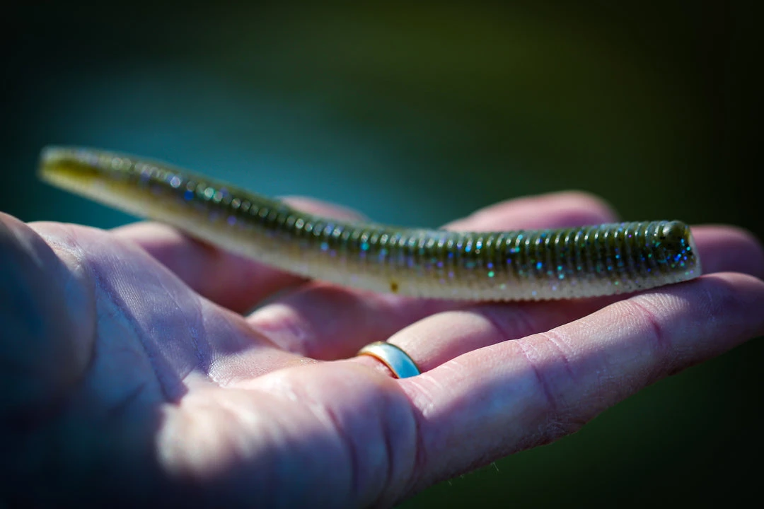 6th Sense Fishing NedFry 4.6 - Electric Shiner 5 6th Sense Fishing NedFry 4.6 - Electric Shiner