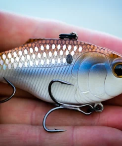 6th Sense Fishing Sale Quake - 4K Gizzard 9 6th Sense Fishing Sale Quake - 4K Gizzard