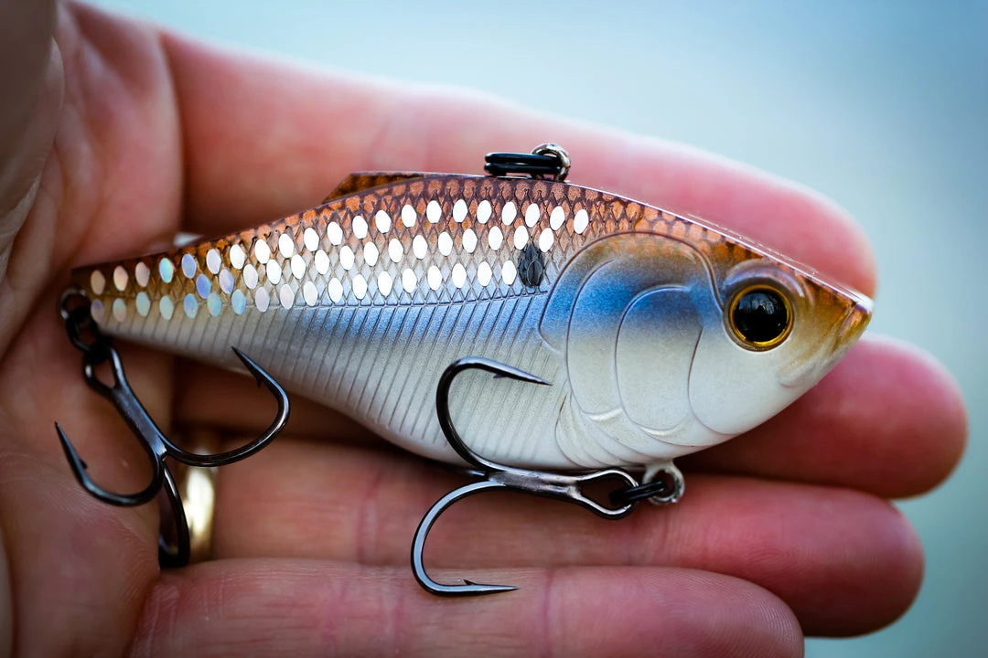 6th Sense Fishing Sale Quake - 4K Gizzard 6 6th Sense Fishing Sale Quake - 4K Gizzard