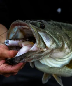 6th Sense Fishing Vega Frog - GOAT