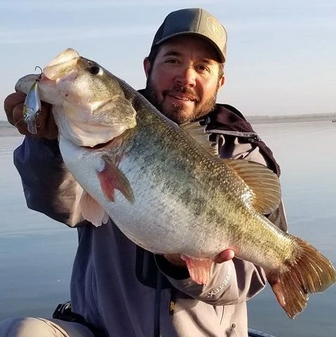 6th Sense Fishing Crush Flat 75X - Shad Fantasy Lee Livesay Collection 5 6th Sense Fishing Crush Flat 75X - Shad Fantasy Lee Livesay Collection