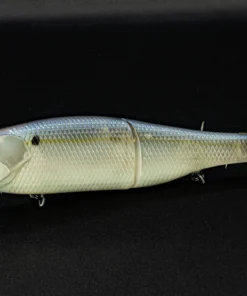 6th Sense Fishing Sales Store 3 6th Sense Fishing The Draw - Live Ghost Threadfin