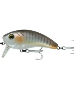 6th Sense Fishing Saltwater Movement 80WK (SW) - Live Croaker