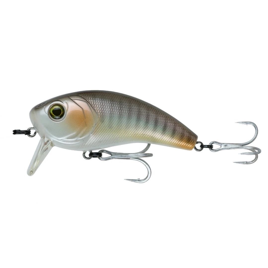 6th Sense Fishing Saltwater Movement 80WK (SW) - Live Croaker 3 6th Sense Fishing Saltwater Movement 80WK (SW) - Live Croaker