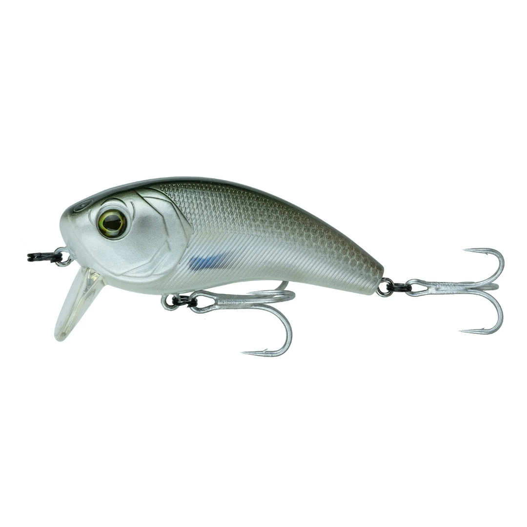 6th Sense Fishing Movement 80WK (SW) - Live Mullet 3 6th Sense Fishing Movement 80WK (SW) - Live Mullet