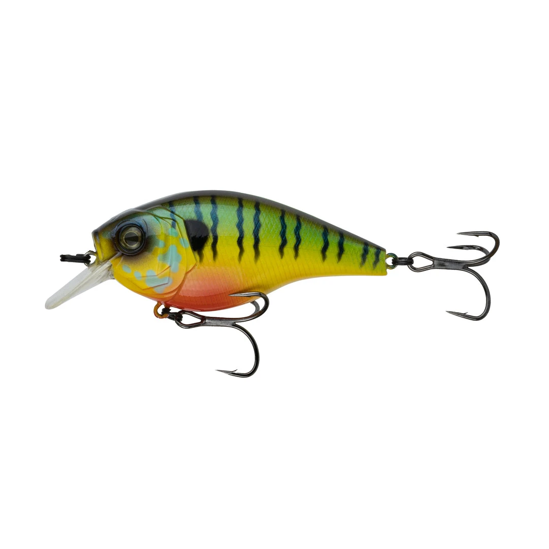 6th Sense Fishing MiniMag SB - Mudgill Deals 3 6th Sense Fishing MiniMag SB - Mudgill Deals