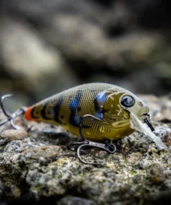 6th Sense Fishing Deals Crush - Tipped Crawfish