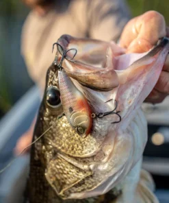 6th Sense Fishing Quake - Bluegill Spawn