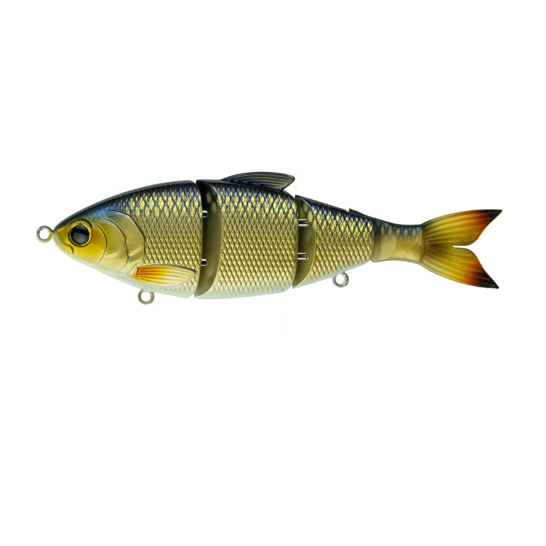 6th Sense Fishing Deals Trace - Live Shiner 3 6th Sense Fishing Deals Trace - Live Shiner