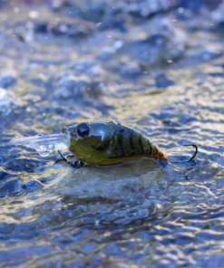 6th Sense Fishing Curve 55 - Ozark Craw Deals