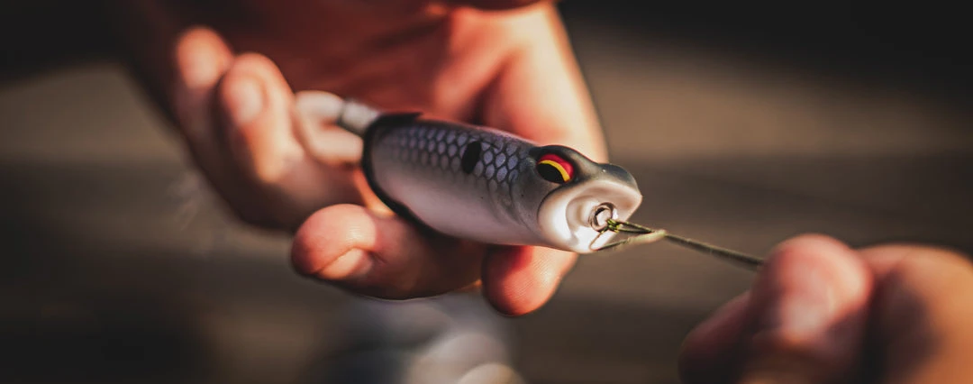 6th Sense Fishing Vega Frog - Shad Spawn 6 6th Sense Fishing Vega Frog - Shad Spawn