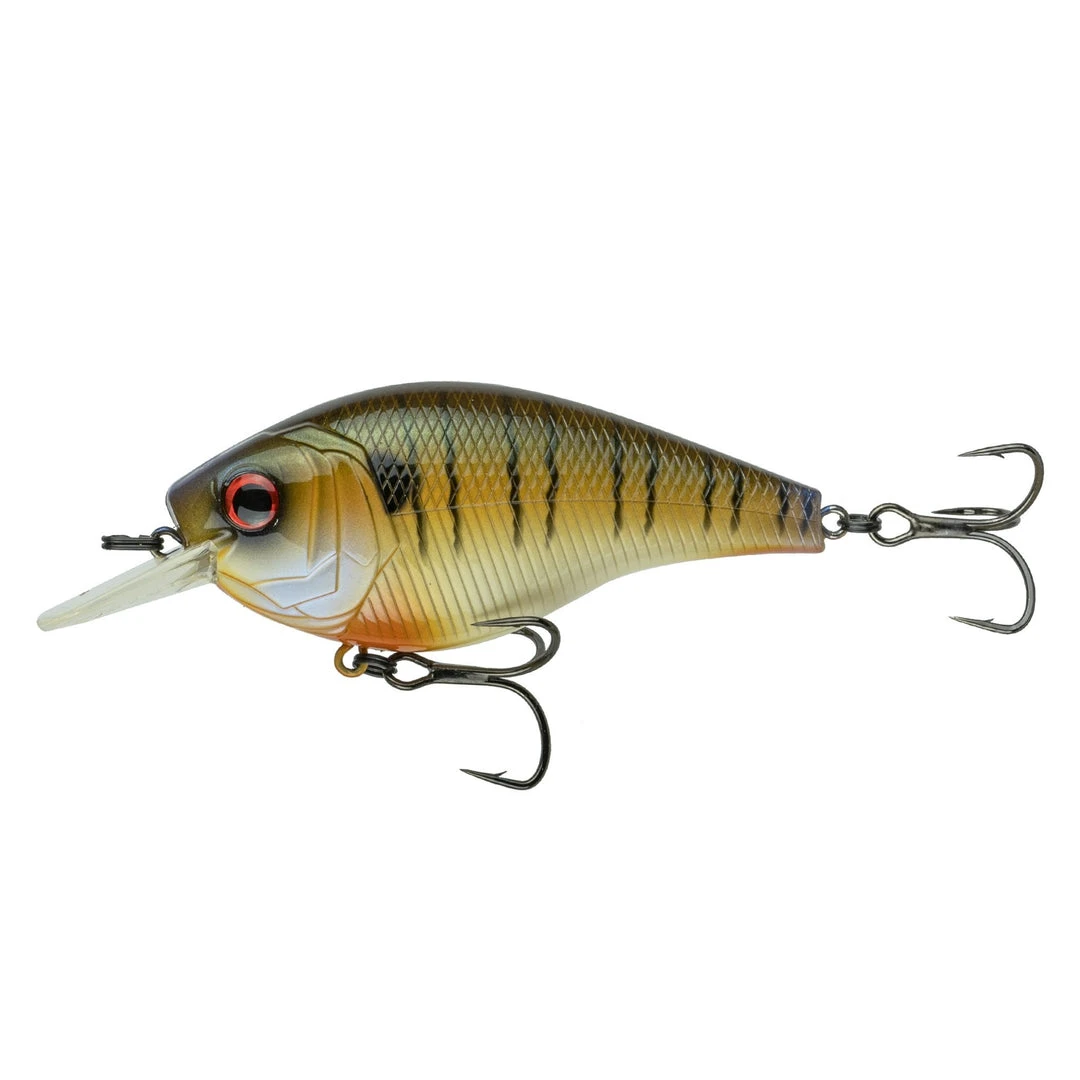 6th Sense Fishing Magnum SB - Cajun Gill 3 6th Sense Fishing Magnum SB - Cajun Gill