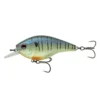 6th Sense Fishing Sale Magnum SB - Tiger Gill 2 6th Sense Fishing Sale Magnum SB - Tiger Gill