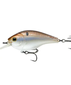 6th Sense Fishing Magnum SB - 4K Gizzard