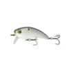6th Sense Fishing Deals Movement 80WK - Shad Scales