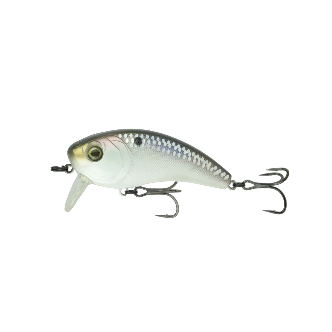 6th Sense Fishing Deals Movement 80WK - Shad Scales 3 6th Sense Fishing Deals Movement 80WK - Shad Scales