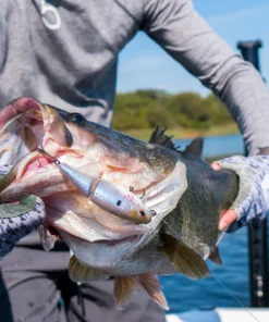 6th Sense Fishing Deals Speed Wake - Shad Blood